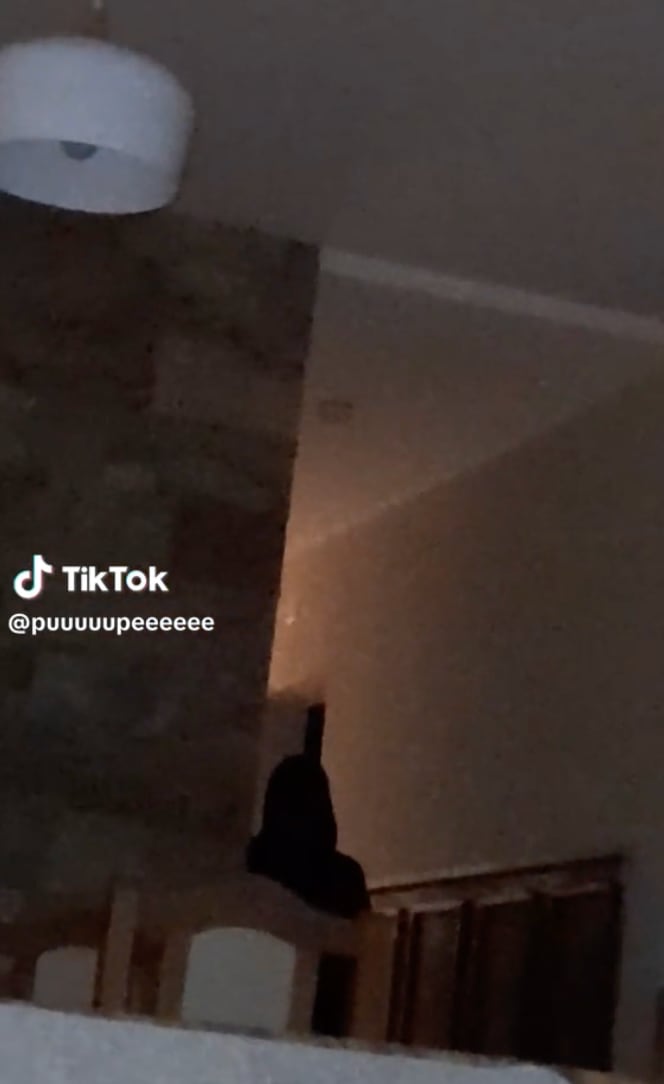 Fantasma en TikTok