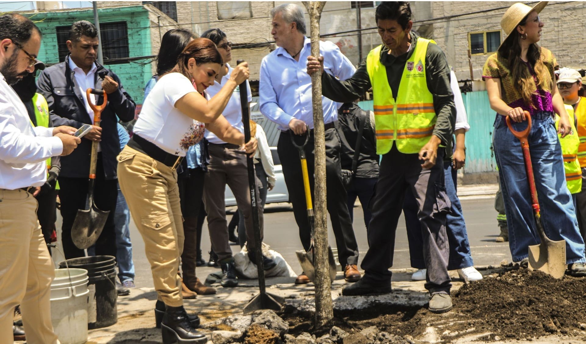 CDMX plantará un millón de árboles para reducir el calor urbano