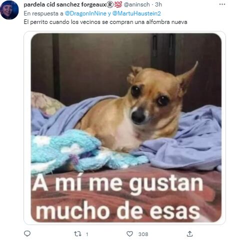 Memes perro Tyson