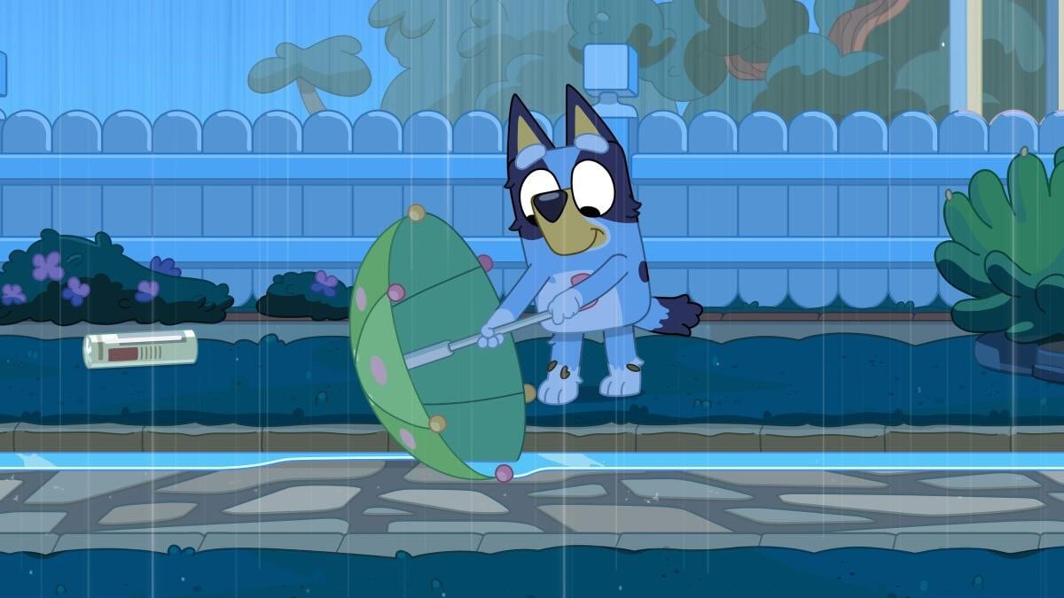 Bluey