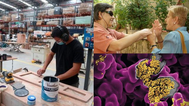 Este 27 de junio se celebra el Día de las Microempresas y las Pequeñas y Medianas Empresas, el Día Internacional de las Personas Sordociegas y el Día Mundial del Microbioma