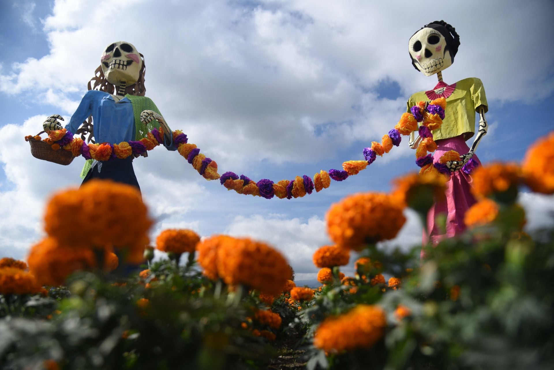 Día de Muertos 2024