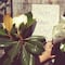 15 frases bonitas del Día de las Madres para dedicar a las mamás que murieron y están en el cielo
