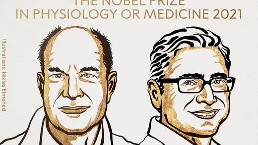 Premio Nobel de Medicina 2021: Lo ganan David Julius y Ardem Patapoutian