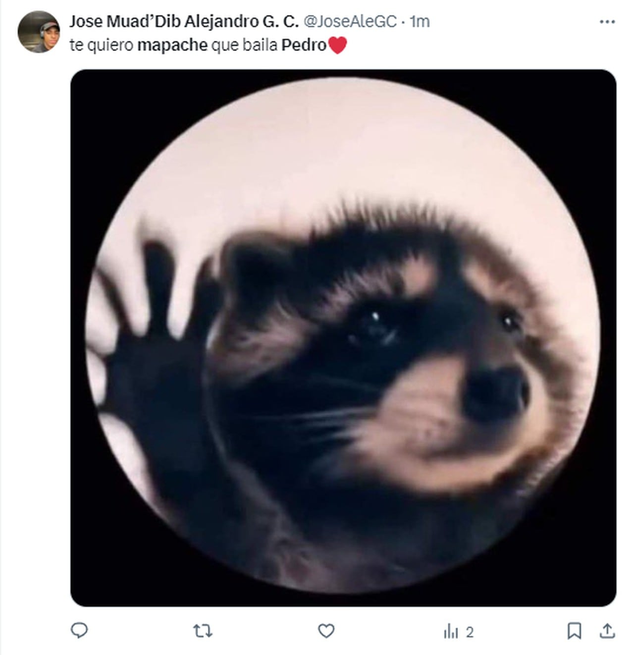 Pedro pedro pedro promo meme