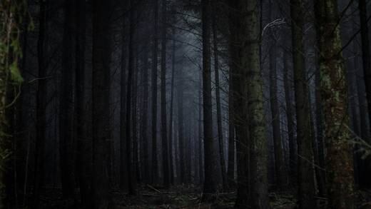 ¿Cuál es la teoría del bosque oscuro? El problema de los tres cuerpos explicaría porqué no hemos contactado con extraterrestres
