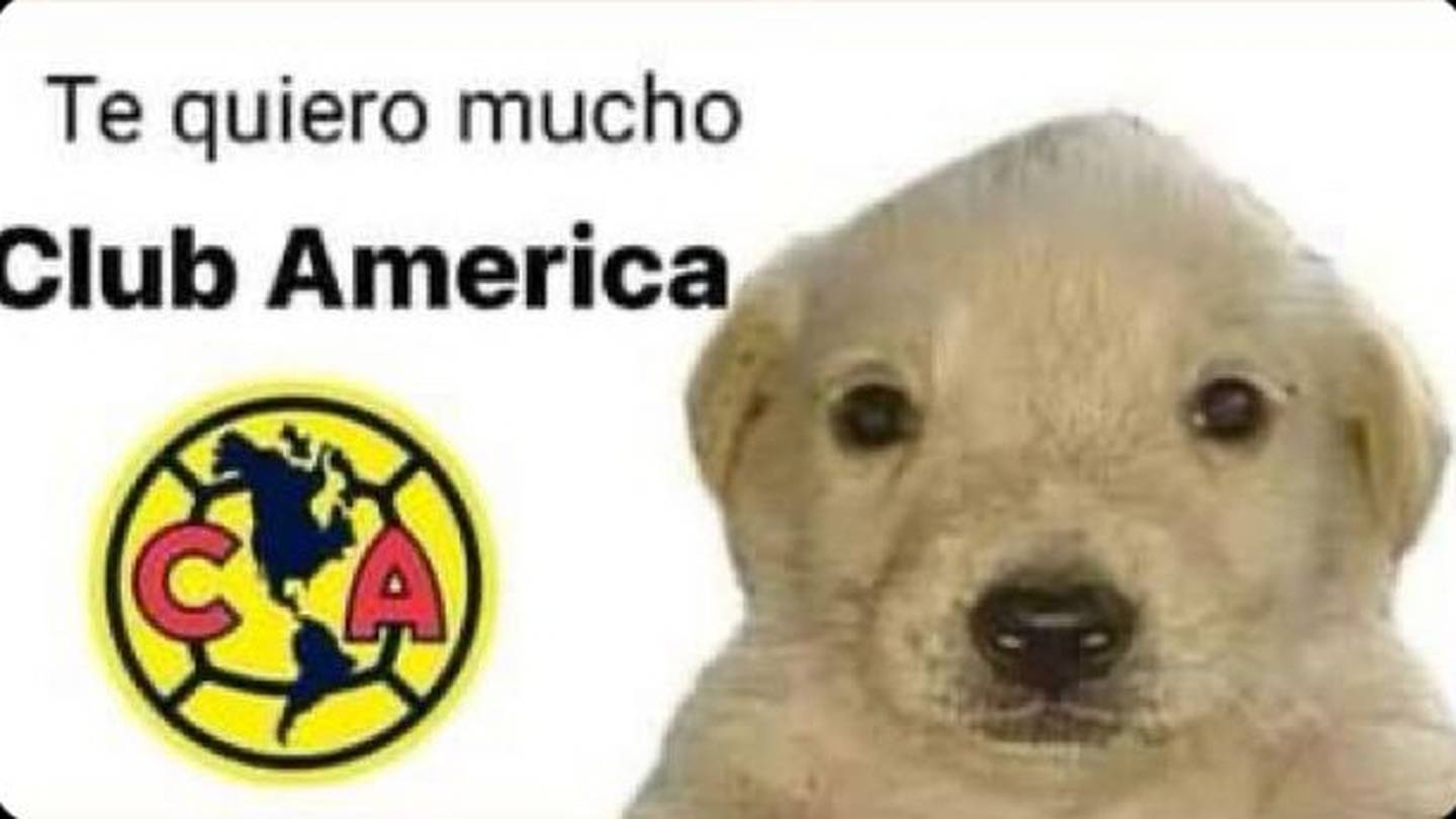 Club América: Aficionados lo ponen en la cima de los mejores memes ante el  Club Necaxa